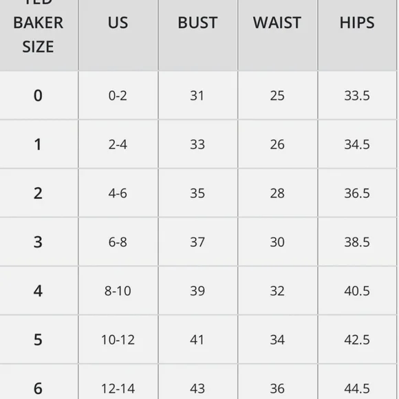 Ted Baker Rose A-line Dress with Bishop Sleeves and Mock Neck - Picture 2 of 5